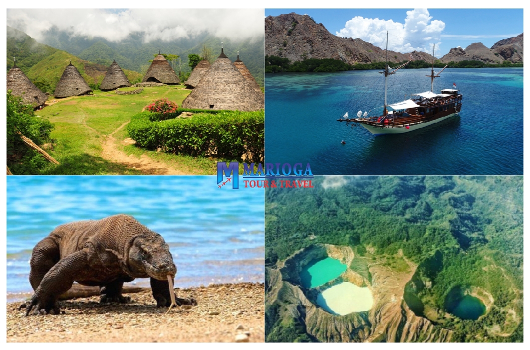 Komodo Island Tours
