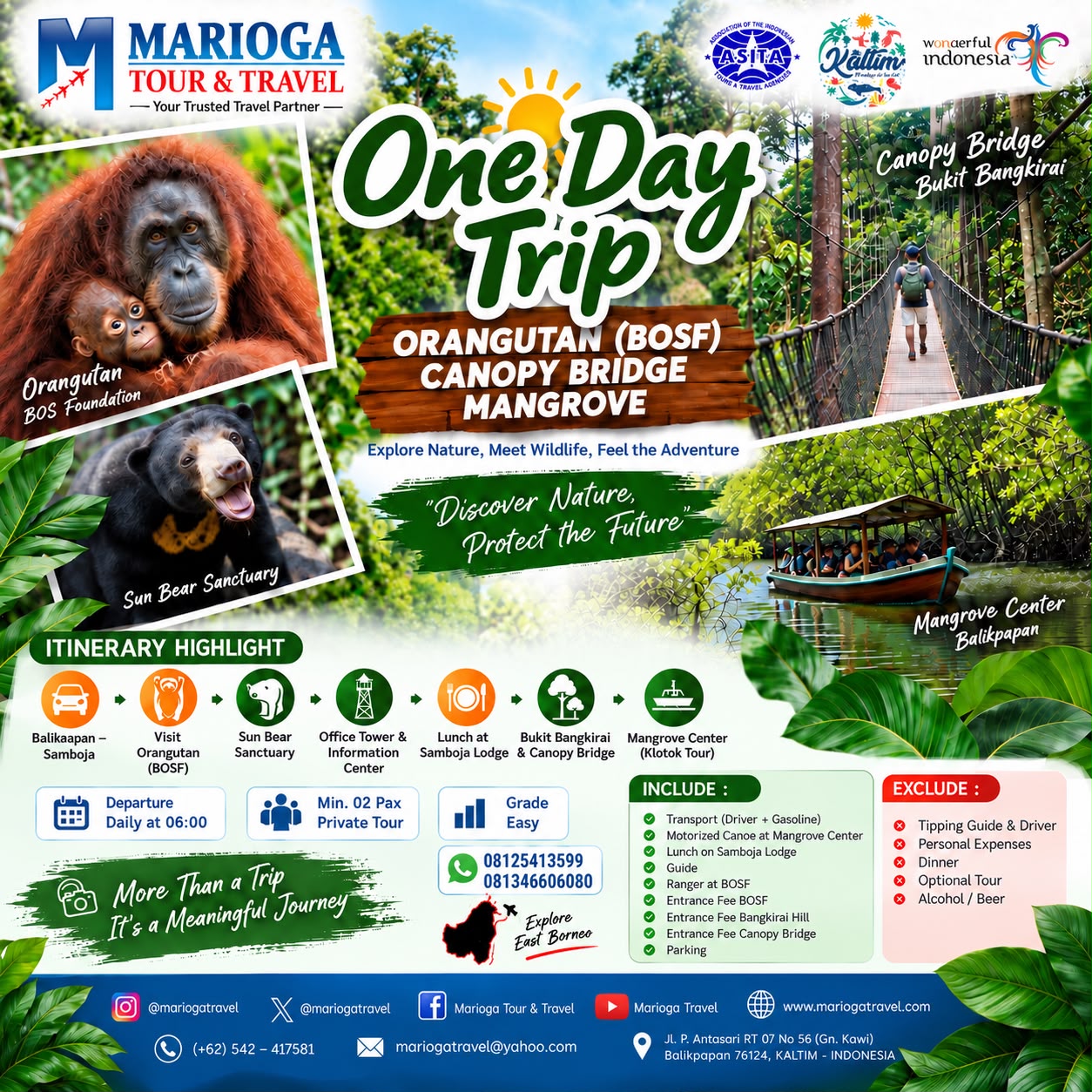 ORANGUTAN - CANOPY BRIDGE - MANGROVE ONE DAY TRIP