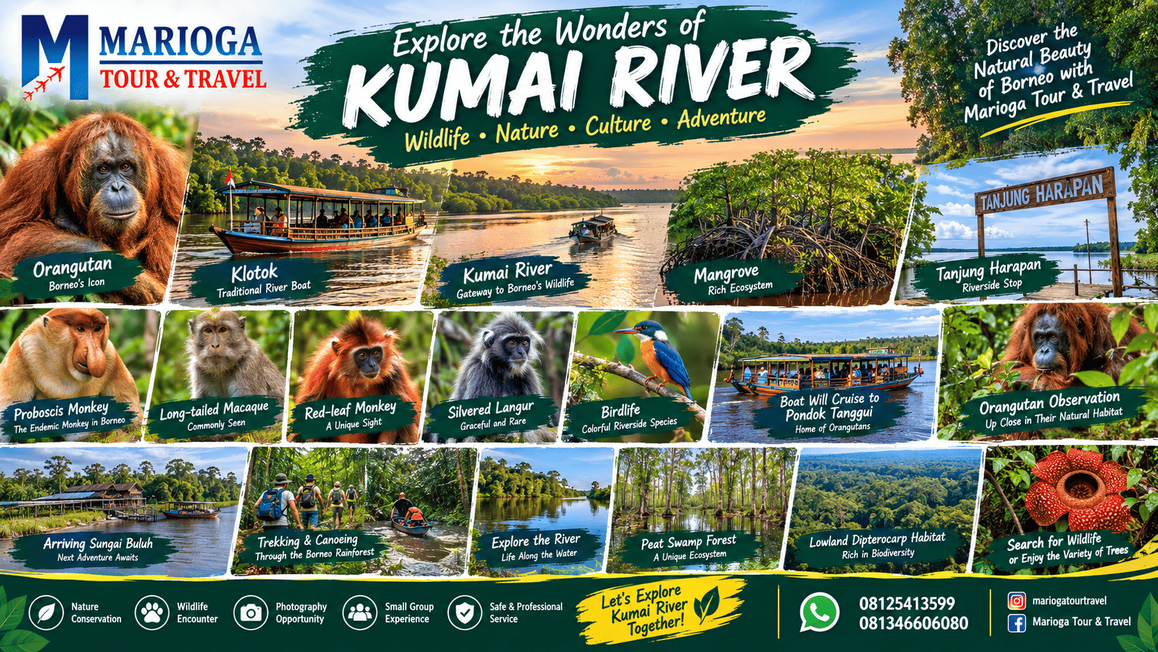 Orangutan Kelotok Adventure Tour 3 nights